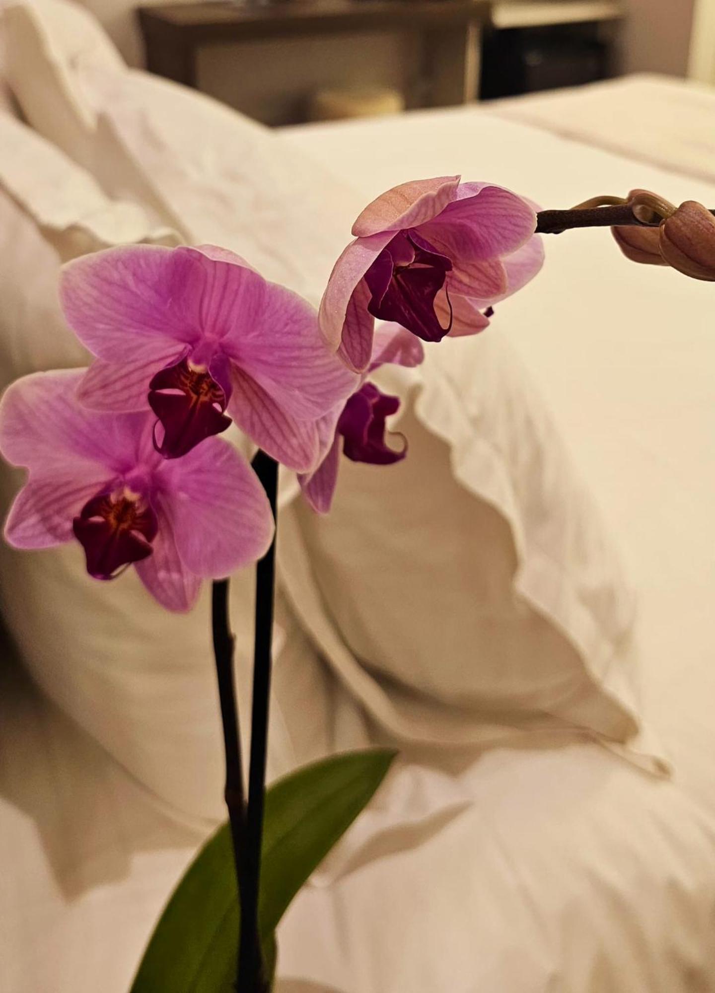 Stoa Rome Boutique Suites 外观 照片